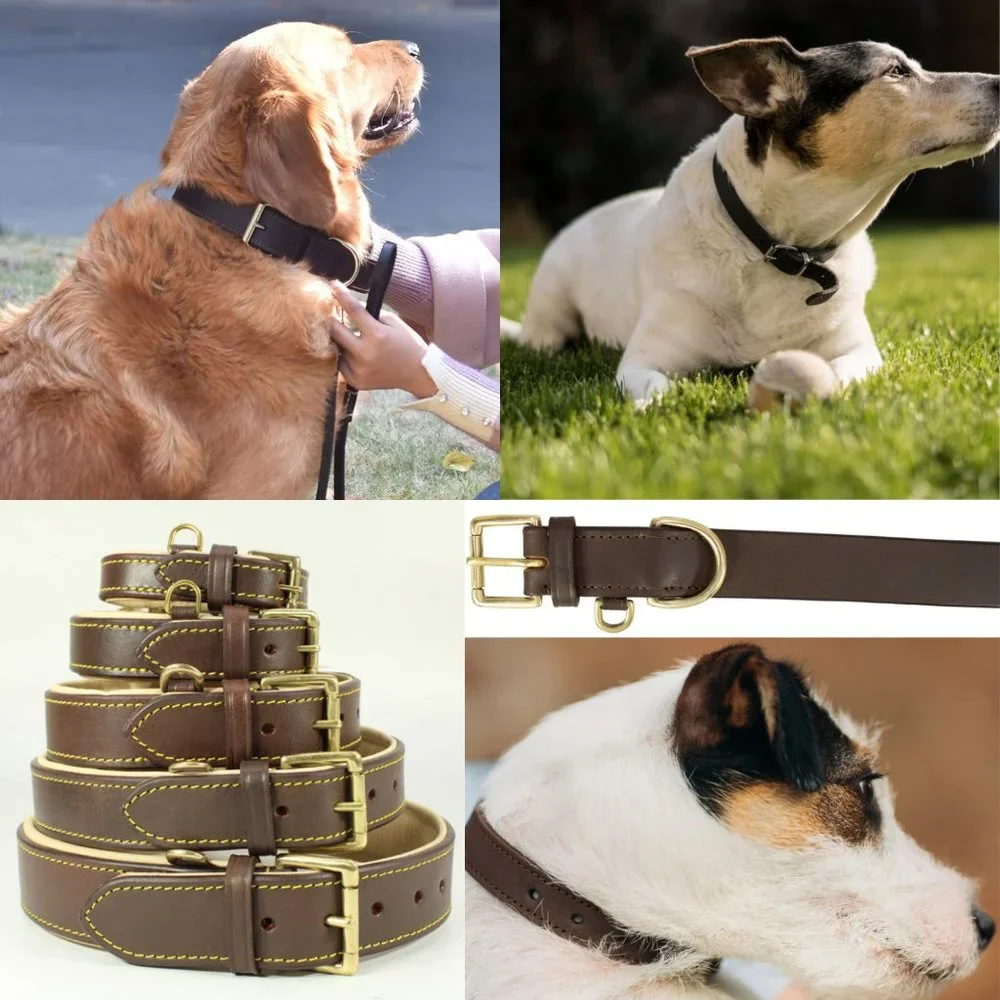 GENUINE LEATHER Dog Collar with Heavy Duty Adjustable Padded Collar